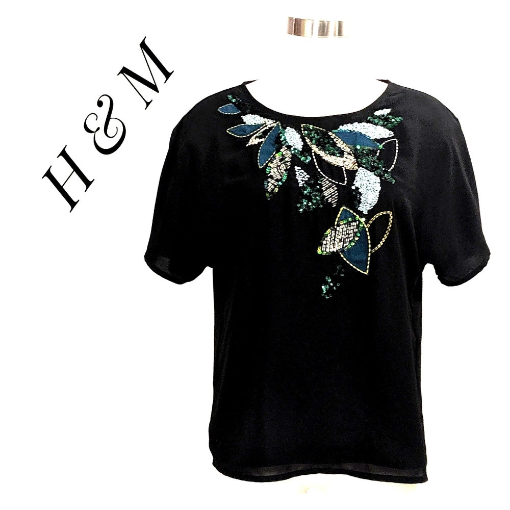 EUC ~ H & M Sequin Sheer Top